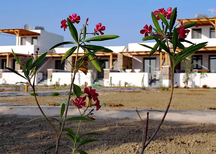 To Armiro Boutique *