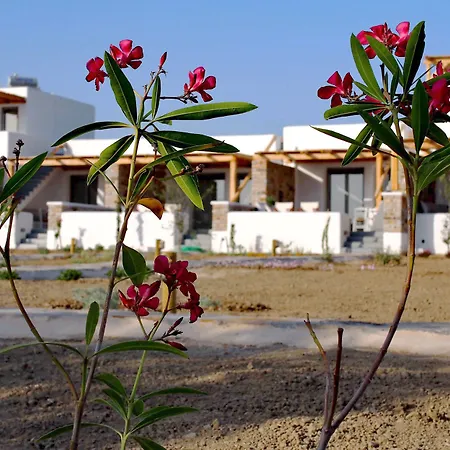 To Armiro Boutique *