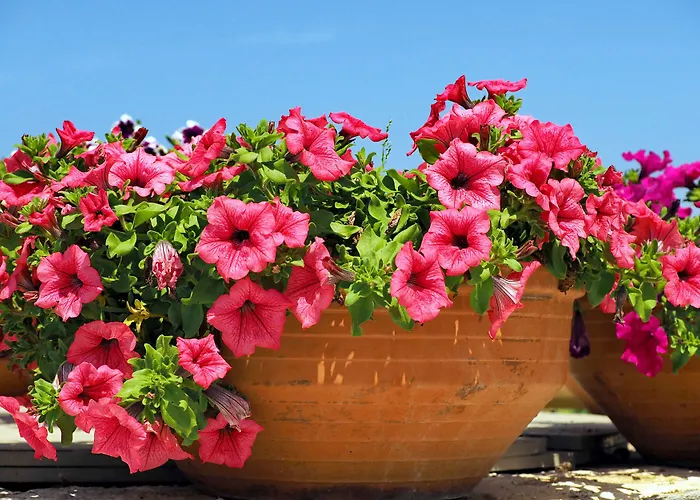 To Armiro Boutique Σπίτι διακοπών Maragkas